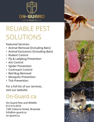 Voir le profil de On-Guard Pest & Wildlife - Arnprior
