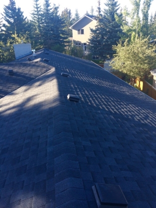 Progo Renovation Inc - Roofers