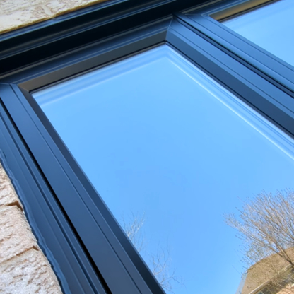 Paint Lions - Peintres