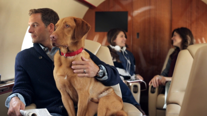 Eclipse Air Charter Inc. - Aircraft & Private Jet Charter