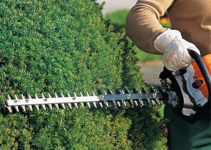 Taille De Haie - Tree Service