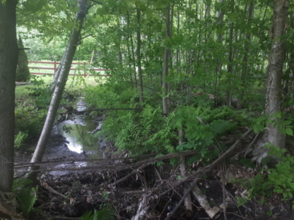 Amphybia Consultant en environnement - Inspecteurs en bâtiment et construction