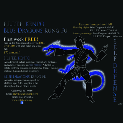 E.L.I.T.E. Kenpo & Blue Dragons Kung Fu - Martial Arts Lessons & Schools