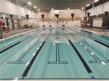 Pellea Fitness – Helping Adults Build Confidence Through Swimming in Toronto - Swimming Lessons