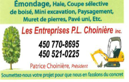 Les Entreprises P L Choinière - Tree Service