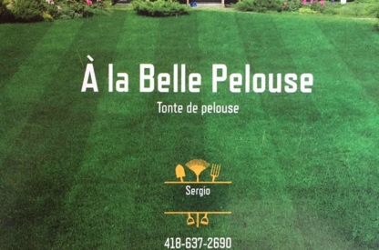 À La Belle Pelouse - Lawn Maintenance