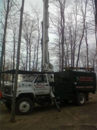 Service D'Arbres R Savard Inc - Service d'entretien d'arbres