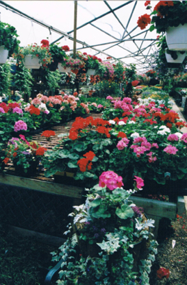 A & M Garden Centre & Sod Supply - Garden Centres