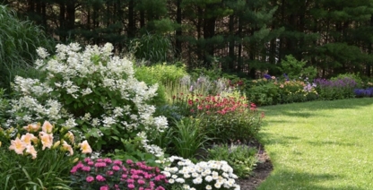 Plant Paradise Country Gardens - Garden Centres