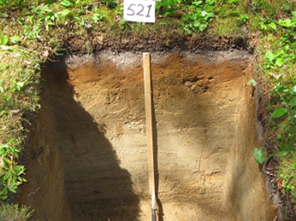 Ground Stone On Site - Installation et réparation de fosses septiques