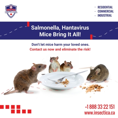 Insectica Pest Control Inc. - Pest Control Services