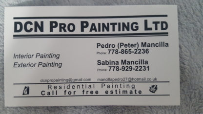 DCN Pro Painting - Painters
