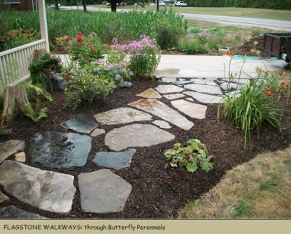 Lance Lane: Gardens, Habitats, Landscapes - Landscape Contractors & Designers