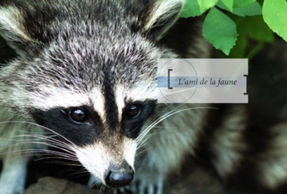 Lami De La Faune - Pest Control Services