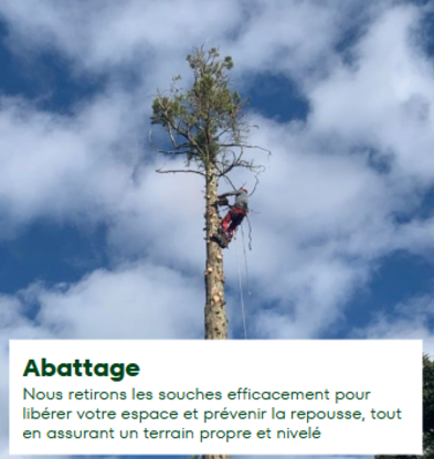 Proarbre Lanaudière - Tree Service