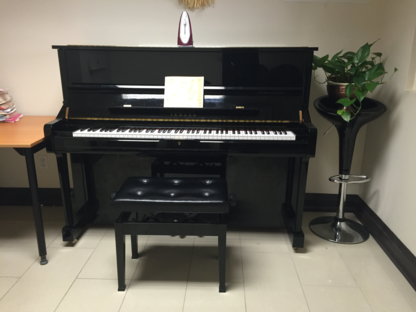 Pro Clavier Music Studio - Musical Instrument Stores