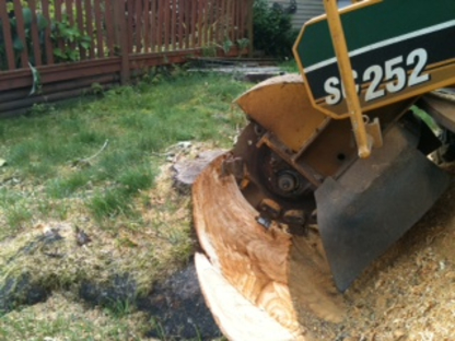 Pacific Stump Grinding - Tree Service