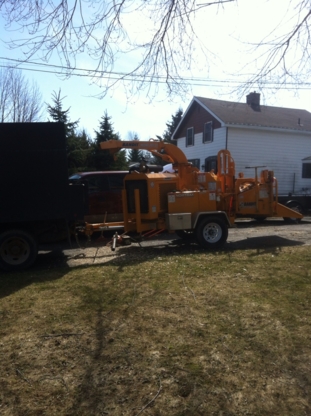 Huron Bay Tree Service - Service d'entretien d'arbres