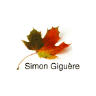 Simon Giguère - Conseillers en foresterie