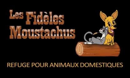 Les Fidèles Moustachus - Toilettage et tonte d'animaux domestiques