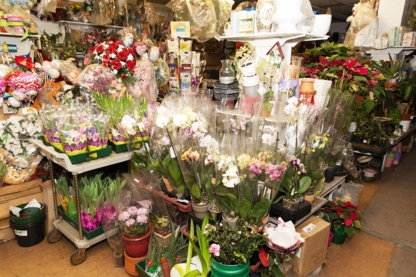 Sham's Florist & Gifts - Fleuristes et magasins de fleurs