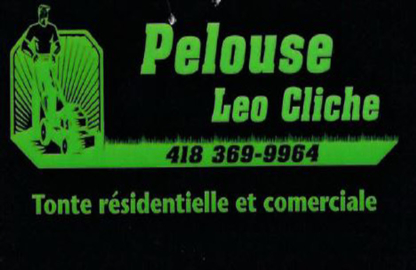 Pelouse Leo Cliche - Lawn Maintenance
