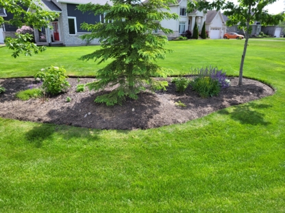 Rebirth Lawn and Garden - Lawn Maintenance