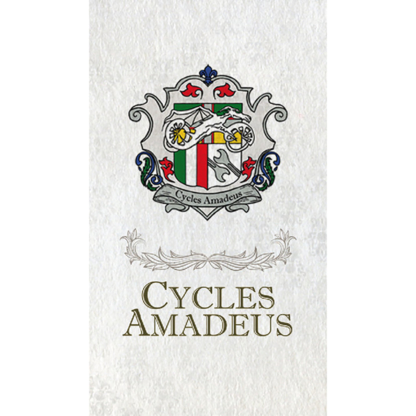 Cycles Amadeus - Bicycle Stores