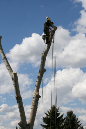 Grinders Tree Service - Pose et sablage de planchers