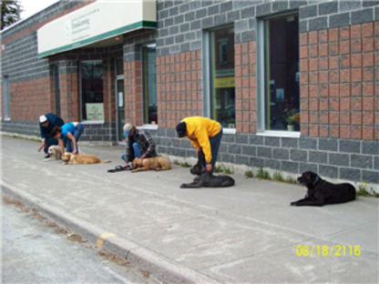 Beachcastle K9 Foundations - Dog Training & Pet Obedience Schools