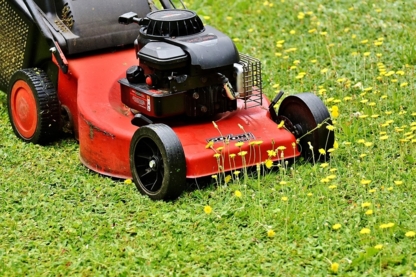 Grass Cutters - Lawn Maintenance