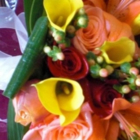 Petals Plus - Florists & Flower Shops