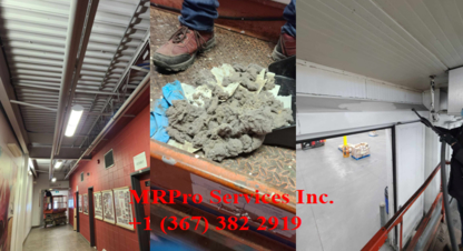 MRPro Services Inc. - Commercial, Industrial & Residential Cleaning