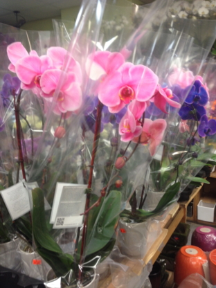 Jong Young Flower Market - Fleuristes et magasins de fleurs