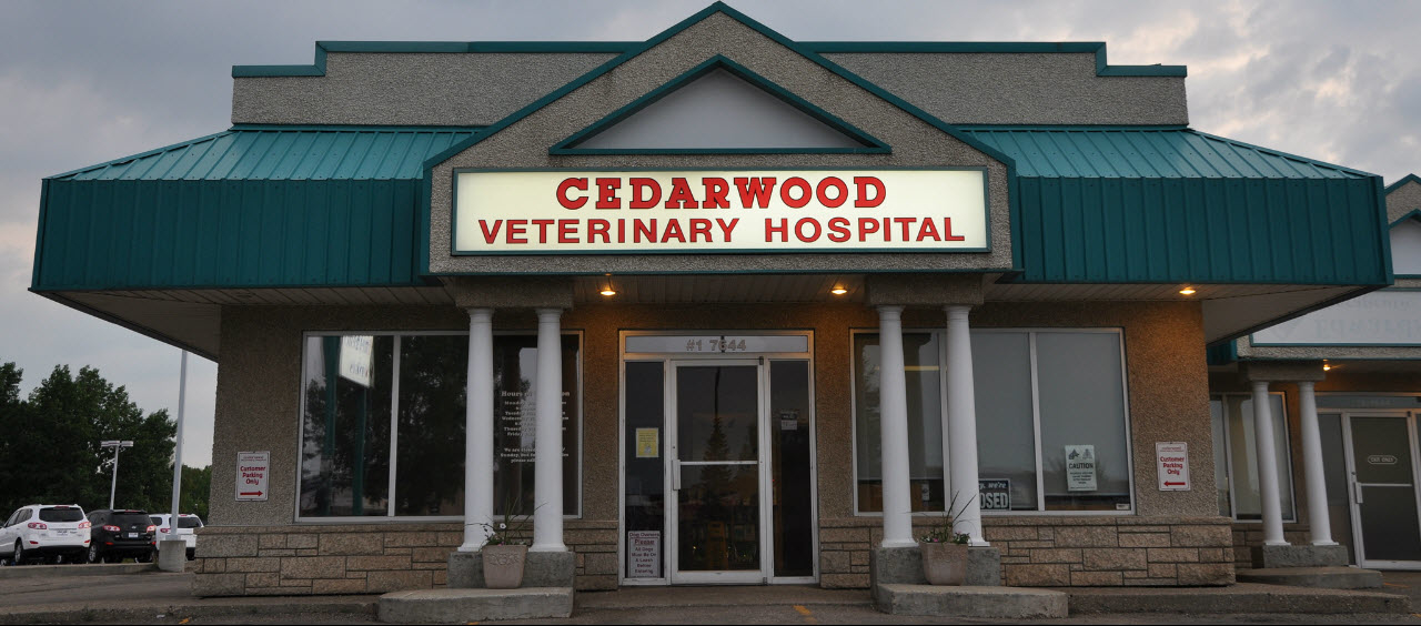 Cedarwood Veterinary Hospital - Vétérinaires