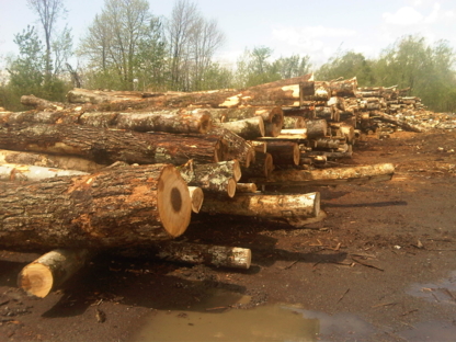 Les Bois Francs Du Nord - Firewood Suppliers