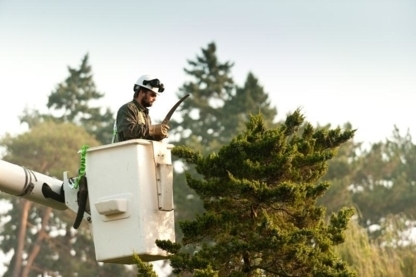 Davey Tree Expert Co Of Canada Ltd - Tree Service