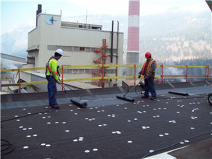 Trail Roofing Ltd - Roofers