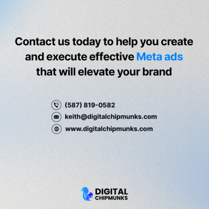 Digital Chipmunks Inc - Business Management Consultants