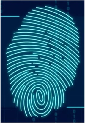 View Intellect FI’s Wroxeter profile