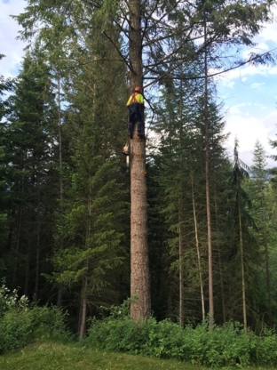 Widowmaker Tree Service - Service d'entretien d'arbres