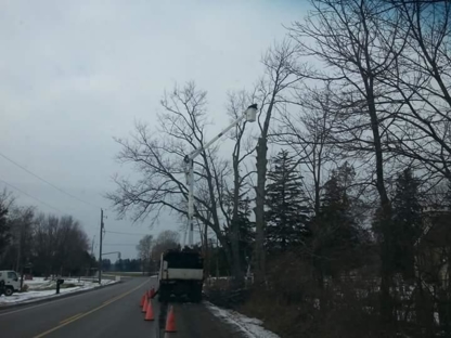 Walker Tree Care - Tree Service