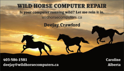 Wild Horse Computer Repairs - Réparation d'ordinateurs et entretien informatique