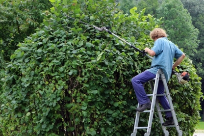 Les Tailles de Haies Joey Houle - Tree Service