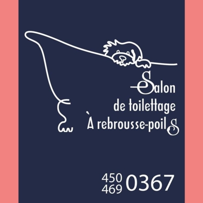 Salon de Toilettage à Rebrousse-Poils - Pet Grooming, Clipping & Washing