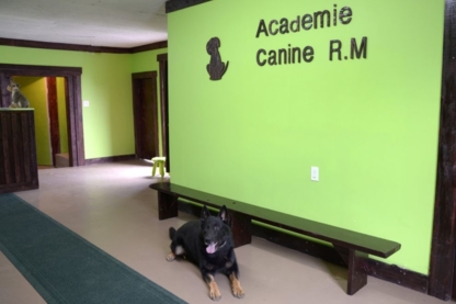 Académie Canine RM - Services pour animaux de compagnie