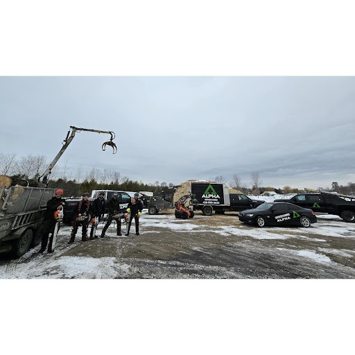 Service d'Arbres Alpha - Élagage Québec - Service d'entretien d'arbres
