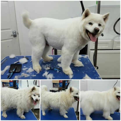 Prairie Valley Pet Services - Pet Grooming, Clipping & Washing
