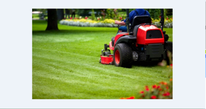 Sunflash Lawn Services - Entretien de gazon