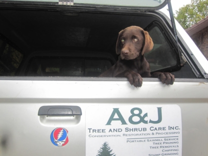 A & J Tree And Shrub Care Inc - Service d'entretien d'arbres